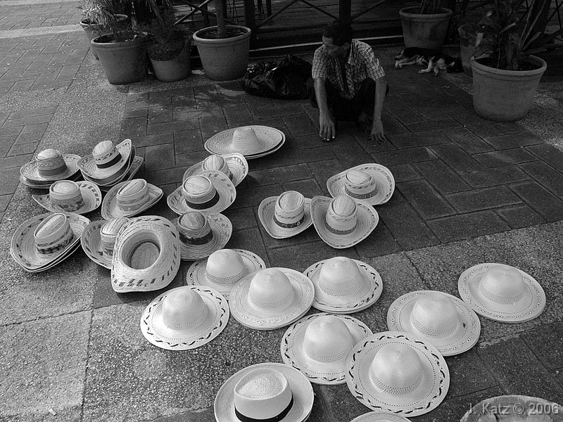 DSC_4708 web 